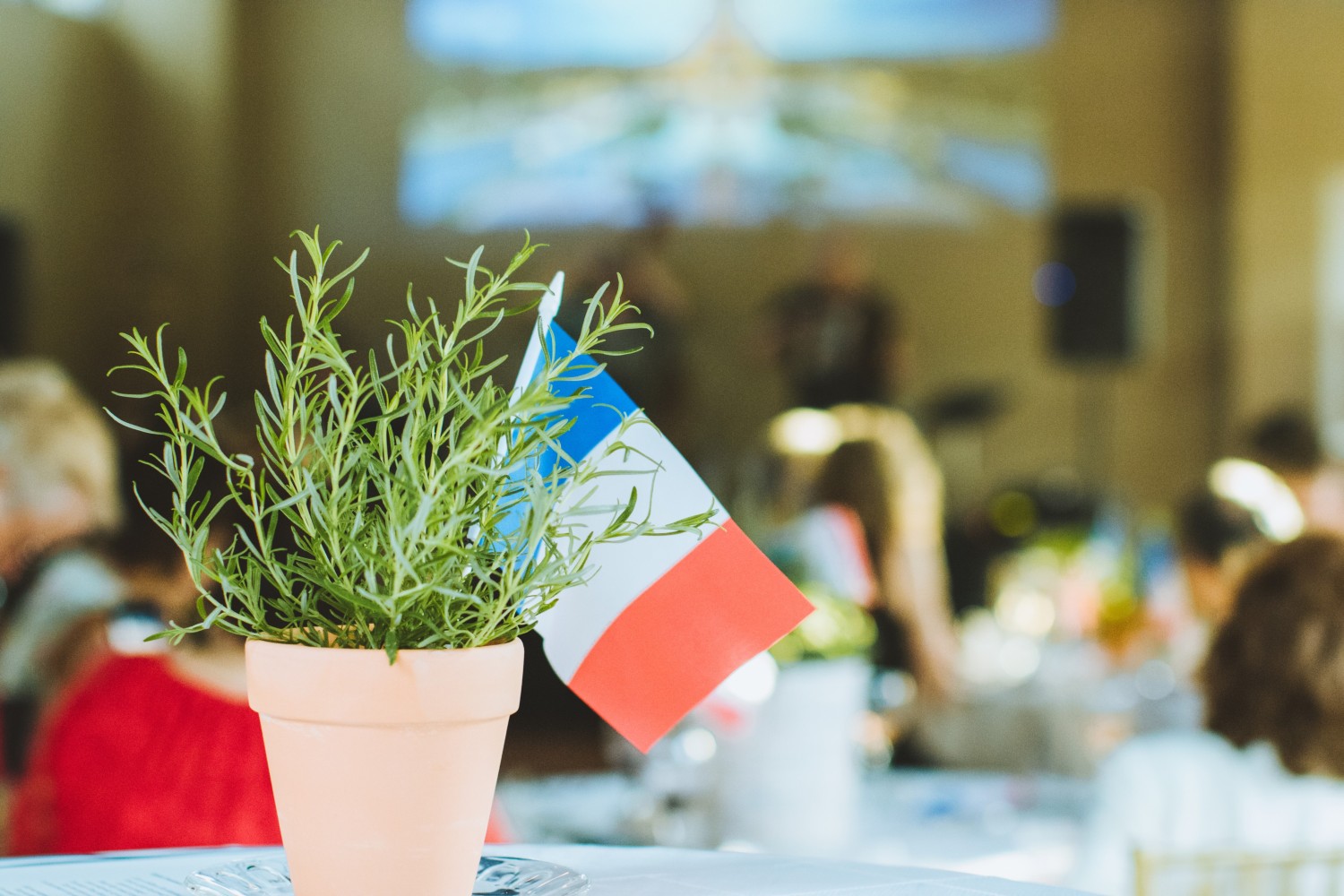 Alliance Française de San Antonio Bastille Day Celebration 14 July 2019